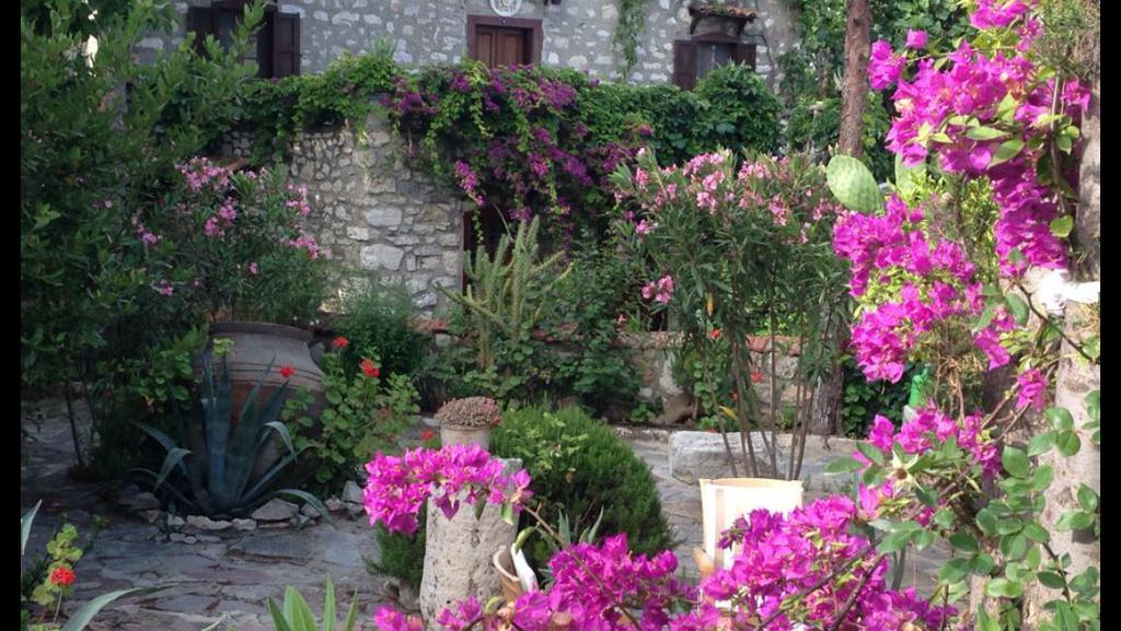 Medusa House Butik Hotel Didim Exterior foto